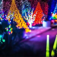 Xmas Light Trails 0